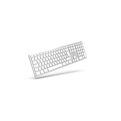 Клавиатура Mobility Lab ML300900 macOS AZERTY цена и информация | Клавиатуры | 220.lv