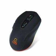 Pele The G-Lab Kult Neon USB 2400 dpi цена и информация | Мыши | 220.lv