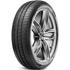 RADAR Dimax Eco 195/55R20 95H XL цена и информация | Летняя резина | 220.lv