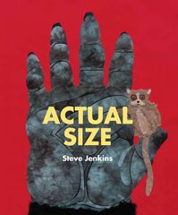 Actual Size цена и информация | Книги для самых маленьких | 220.lv
