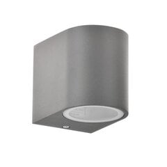 Āra lampa Polux Boston BS801/G80 cena un informācija | Āra apgaismojums | 220.lv