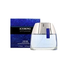 Мужские духи Iceberg EDT Effusion Man, 75 мл цена и информация | Мужские духи | 220.lv