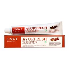 Аюрведическая зубная паста Ayurfresh, Jiva Ayurveda, 100 г цена и информация | Зубные щетки, пасты | 220.lv