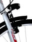Frejus City Bike Lady velosipēds, balts цена и информация | Velosipēdi | 220.lv
