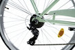 Sieviešu velosipēds Davi Maria, alumīnija rāmis, ar amortizatoru, 7 ātrumu Shimano ātruma pārslēdzējs, 160-185 cm augumam, 28" alumīnija rati, klūgas grozs, Zaļš cena un informācija | Velosipēdi | 220.lv