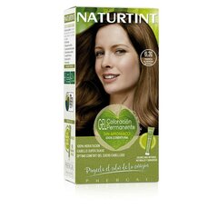 Noturīga Krāsa Naturtint Naturtint 6.31 marrón almendra intenso Nesatur Amonjaku (170 ml) cena un informācija | Matu krāsas | 220.lv