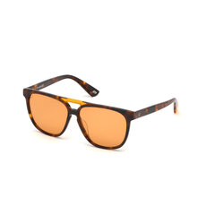 Vīriešu Saulesbrilles WEB EYEWEAR WE0263-5956J ø 59 mm cena un informācija | Saulesbrilles  vīriešiem | 220.lv