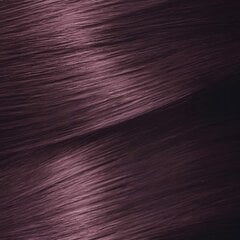 Постоянная краска Garnier Nutrisse Cassis Nº 4,26 цена и информация | Краска для волос | 220.lv