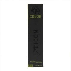 Krāsa bez Amonjaka Color Ecotech Icon Nº 10.2 (60 ml) cena un informācija | Matu krāsas | 220.lv