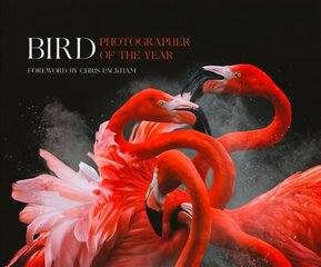 Bird Photographer of the Year: Collection 3 edition цена и информация | Книги по фотографии | 220.lv