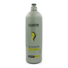 Шампунь питательный, для сухих и повреждённых волос CHAMPU PROTEINAS цена и информация | Шампуни | 220.lv