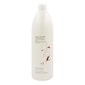 Šampūns Color Saver 01 Farmavita (1000 ml) cena un informācija | Šampūni | 220.lv