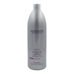 Šampūns Amethyste Color Farmavita (250 ml) cena un informācija | Šampūni | 220.lv