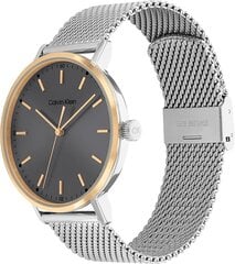 Vīriešu pulkstenis Calvin Klein 25200047 цена и информация | Мужские часы | 220.lv