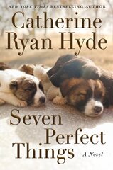 Seven Perfect Things: A Novel цена и информация | Фантастика, фэнтези | 220.lv