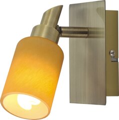 Sienas lampa Tukan цена и информация | Настенные светильники | 220.lv