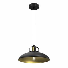 Piekaramā lampa Felix cena un informācija | Lustras | 220.lv