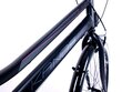 Sieviešu velosipēds Kands Galileo, 167-185 cm, Shimano, Melns цена и информация | Velosipēdi | 220.lv