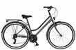 Sieviešu velosipēds Kands Galileo, 28", 167-185 cm, Shimano, Grafīts cena un informācija | Velosipēdi | 220.lv