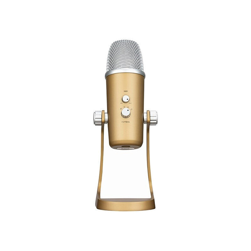 Boya microphone BY-PM700G USB cena un informācija | Mikrofoni | 220.lv