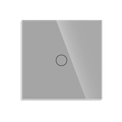 Сенсорный выключатель однополюсный, серый цвет 500 Вт цена и информация | Электрические выключатели, розетки | 220.lv