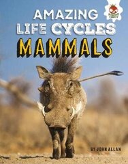 Mammals - Amazing Life Cycles цена и информация | Книги для подростков и молодежи | 220.lv