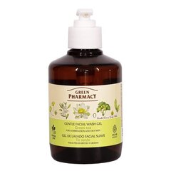 Tīrīšanas līdzeklis sausai ādai Green Pharmacy Herbal Care Gentle Facial Wash Green Tea, 270 ml cena un informācija | Sejas ādas kopšana | 220.lv