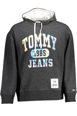 Джемпер мужской Tommy Hilfiger цена и информация | Мужские толстовки | 220.lv