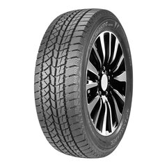 DOUBLESTAR DW02 195/55R16 87S цена и информация | Зимние шины | 220.lv