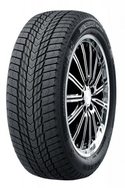 Nexen WG Ice Plus WH43 245/45R17 99T XL цена и информация | Ziemas riepas | 220.lv