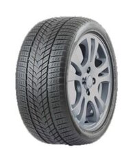 Roadmarch WinterXPRO 999 285/40R21 109H XL cena un informācija | Ziemas riepas | 220.lv