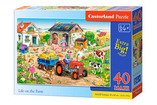 Puzle Castorland Life on the Farm, 40 gab. cena un informācija | Puzles, 3D puzles | 220.lv