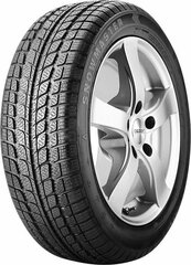 SUNNY SN3830 Snowmaster 225/55R19 99V цена и информация | Зимняя резина | 220.lv