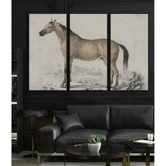 Картина DKD Home Decor Лошадь (180 x 4 x 120 cm) цена и информация | Картины | 220.lv