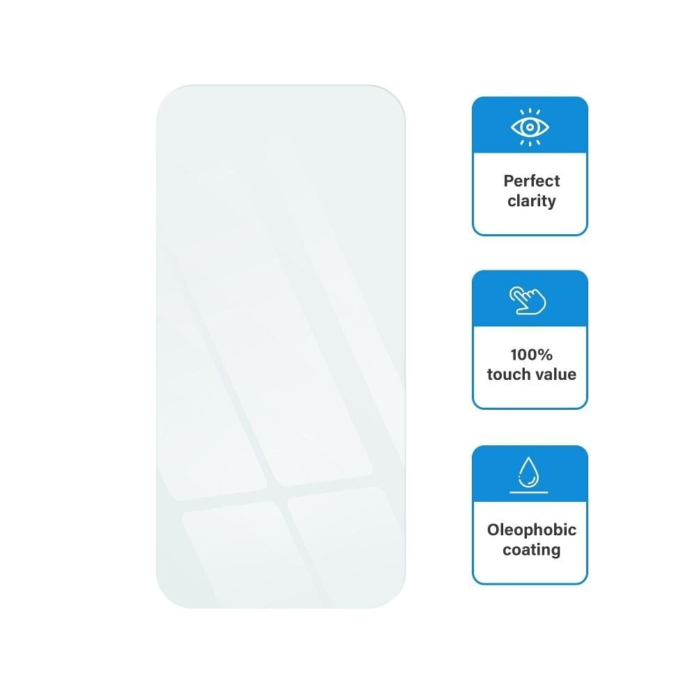 Rūdīts stikls - priekš Iphone XS Max / 11 Pro Max цена и информация | Ekrāna aizsargstikli | 220.lv