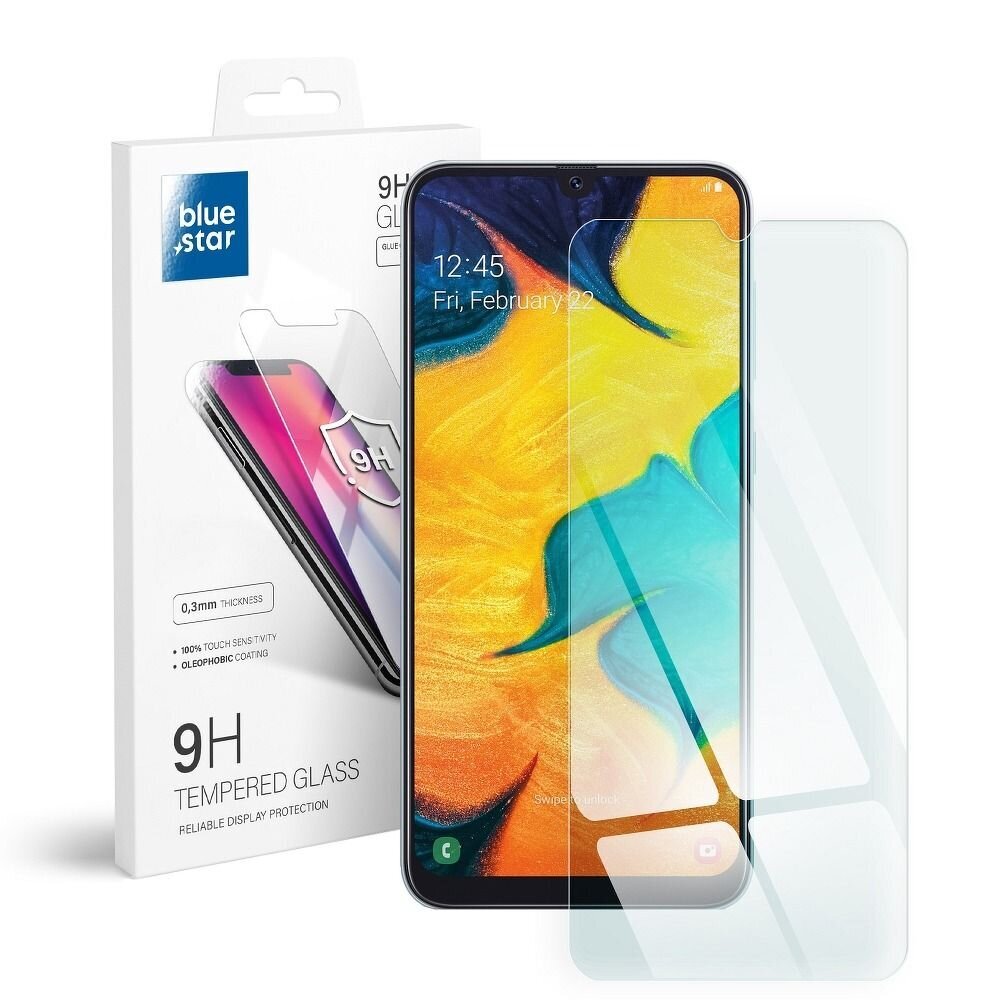 Rūdīts stikls Blue Star - Samsung Galaxy A30 cena un informācija | Ekrāna aizsargstikli | 220.lv