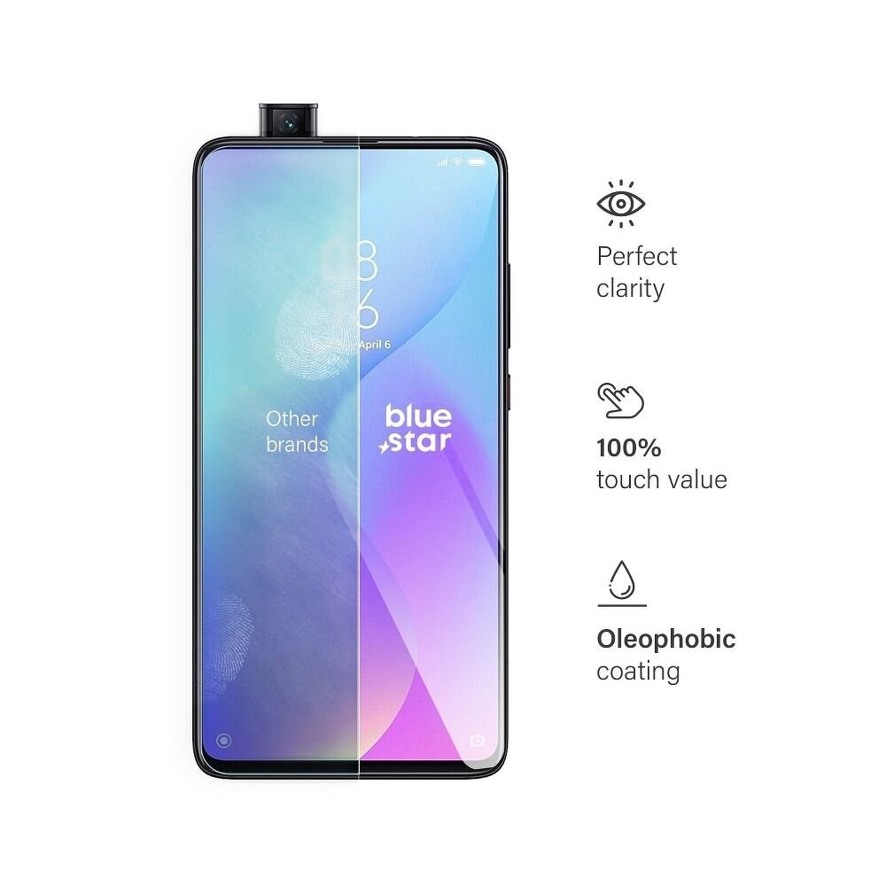 Rūdīts stikls Blue Star - Xiaomi Mi 9T Pro цена и информация | Ekrāna aizsargstikli | 220.lv