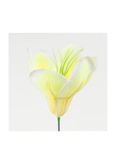Mākslīgs magnolijas zieds, 10 gab. cena un informācija | Mākslīgie ziedi | 220.lv