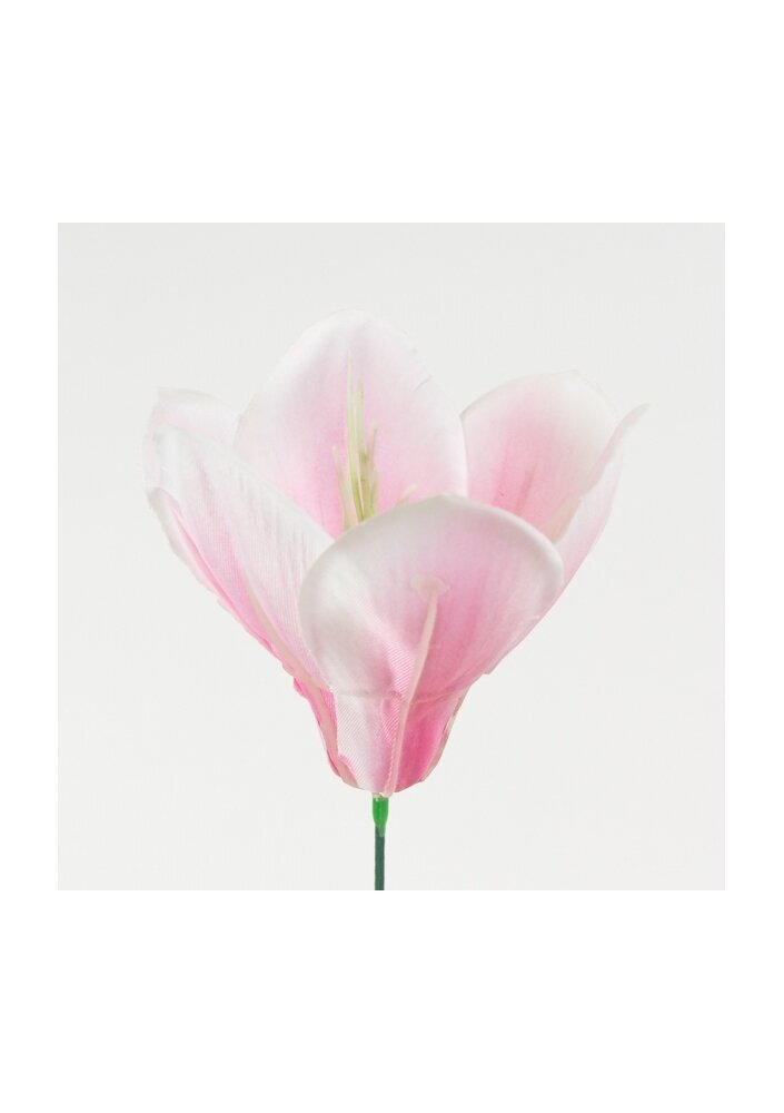 Mākslīgs magnolijas zieds, 10 gab. cena un informācija | Mākslīgie ziedi | 220.lv