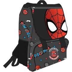 Ikdienas Mugursoma Spiderman Melns (28,5 x 15 x 41 cm) цена и информация | Школьные рюкзаки, спортивные сумки | 220.lv