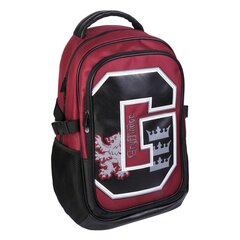 Школьный рюкзак Harry Potter, красный, 31 x 47 x 24 см цена и информация | Школьные рюкзаки, спортивные сумки | 220.lv