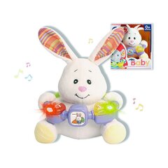 Музыкальная плюшевая игрушка Reig, 20 см цена и информация | Игрушки для малышей | 220.lv