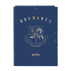 Mape Harry Potter Magical Brūns Tumši Zils A4 (26 x 33.5 x 2.5 cm) cena un informācija | Kancelejas preces | 220.lv
