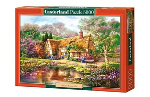 Castorland Home puzle, 3000 gabaliņu cena un informācija | Puzles, 3D puzles | 220.lv