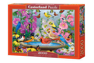 Castorland Rhytm Of Nature Puzzle, 2000 gabaliņu cena un informācija | Puzles, 3D puzles | 220.lv