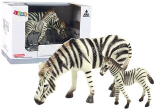2 figūriņu komplekts - Zebra un teliņš cena un informācija | Rotaļlietas zēniem | 220.lv