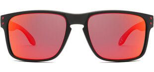Солнцезащитные очки Label L1532 Polarized цена и информация | Солнцезащитные очки для мужчин | 220.lv