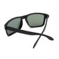 Saulesbrilles Label L1532P Polarized cena un informācija | Saulesbrilles  vīriešiem | 220.lv