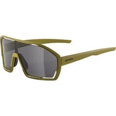 Alpina BONFIRE Running glasses Full rim Black цена и информация | Спортивные очки | 220.lv