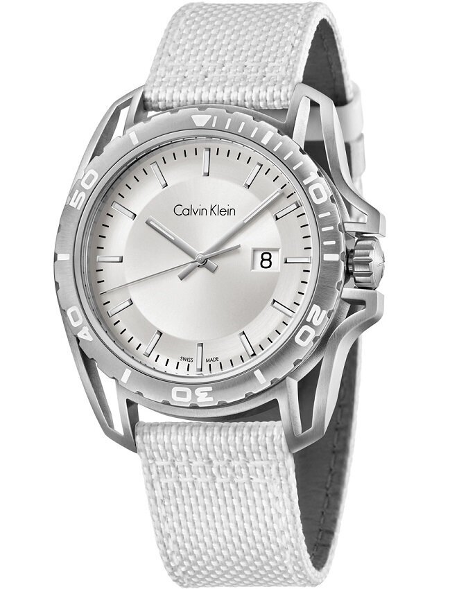 Vīriešu pulkstenis Calvin Klein Earth Leather / Nylon Silver cena un informācija | Vīriešu pulksteņi | 220.lv